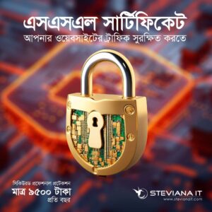প্রফেশনাল SSL সার্টিফিকেট – আনলিমিটেড ডোমেইন প্রটেকশন