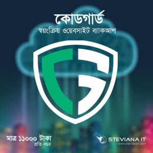 প্রিমিয়াম ওয়েবসাইট ব্যাকআপ সার্ভিস বাংলাদেশ