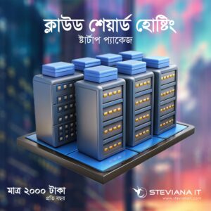 ২ জিবি স্পেস ও ২০ জিবি ব্যান্ডউইথ সহ সাশ্রয়ী স্টার্টার হোস্টিং