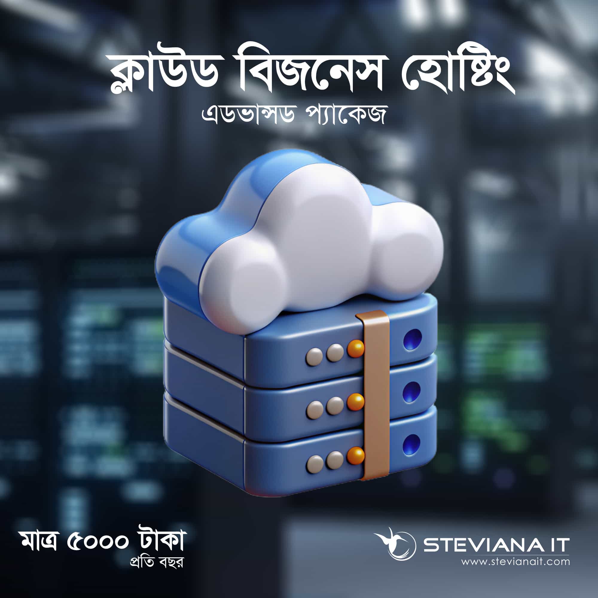 ৳৫০০/মাসে মাঝারি কোম্পানির জন্য প্রফেশনাল হোস্টিং