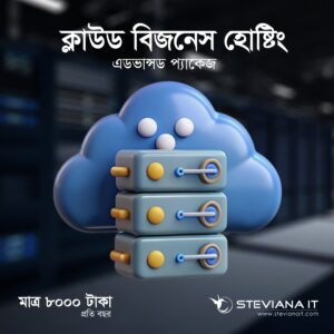 ১০ জিবি স্পেস ও ১০০০ জিবি ব্যান্ডউইথ সহ মাঝারি ব্যবসার জন্য হোস্টিং