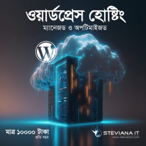 স্টার্টার ওয়েবসাইটের জন্য ম্যানেজড হোস্টিং ১০ জিবি স্পেস সহ