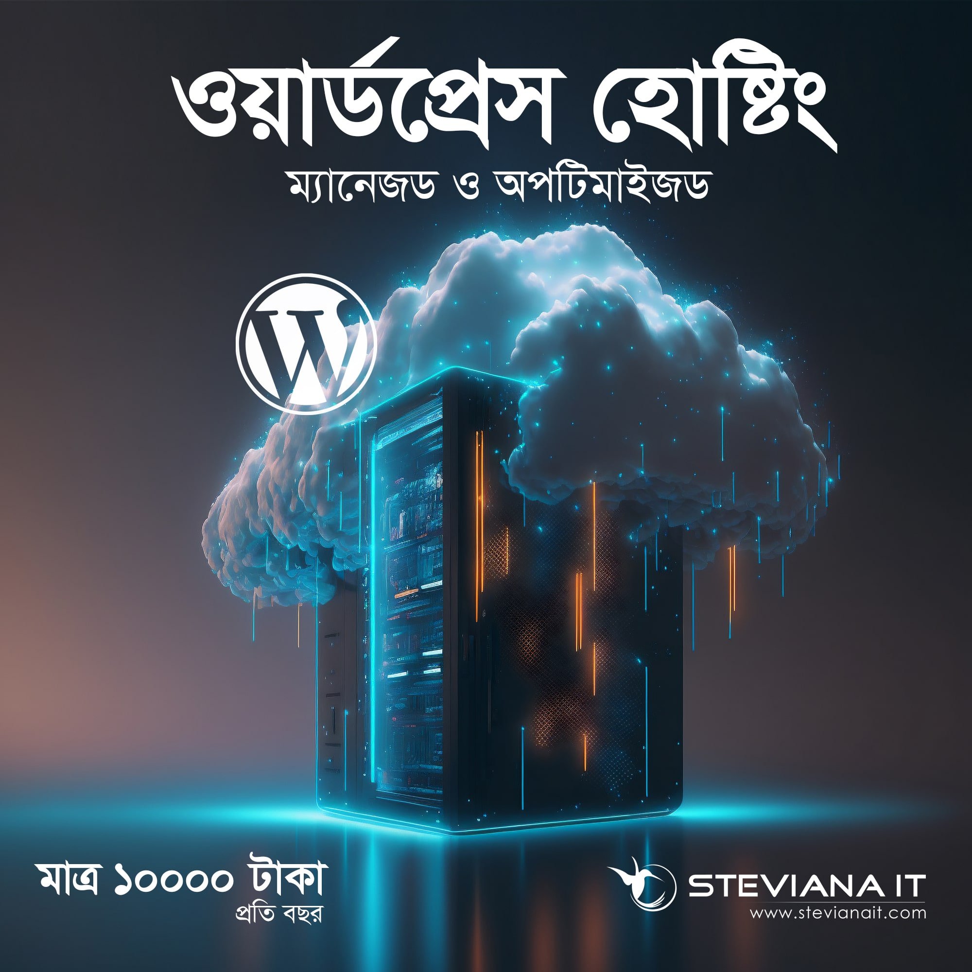 স্টার্টার ওয়েবসাইটের জন্য ম্যানেজড হোস্টিং ১০ জিবি স্পেস সহ