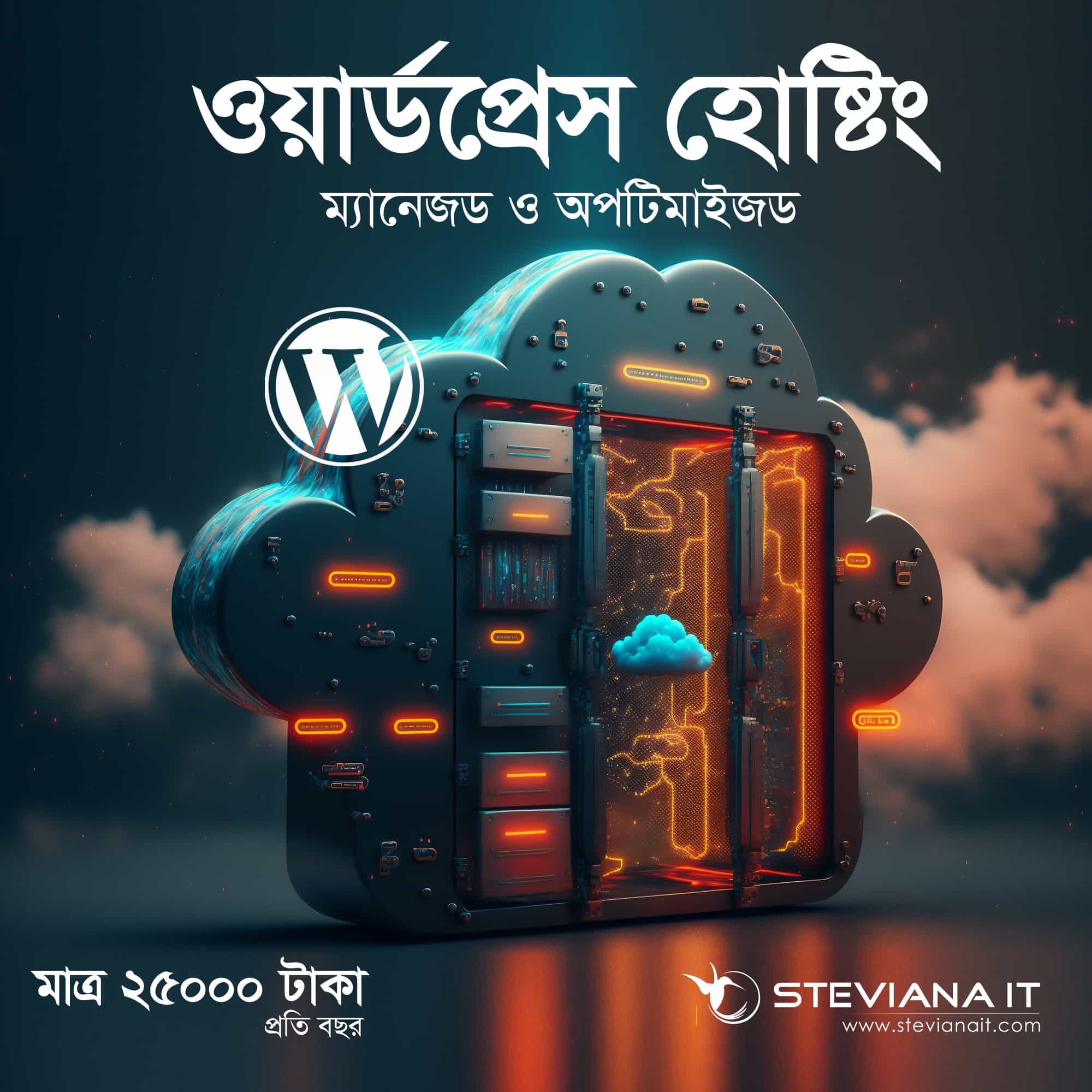 বড় ওয়েবসাইটের জন্য ম্যানেজড হোস্টিং ২০০ জিবি স্পেস সহ