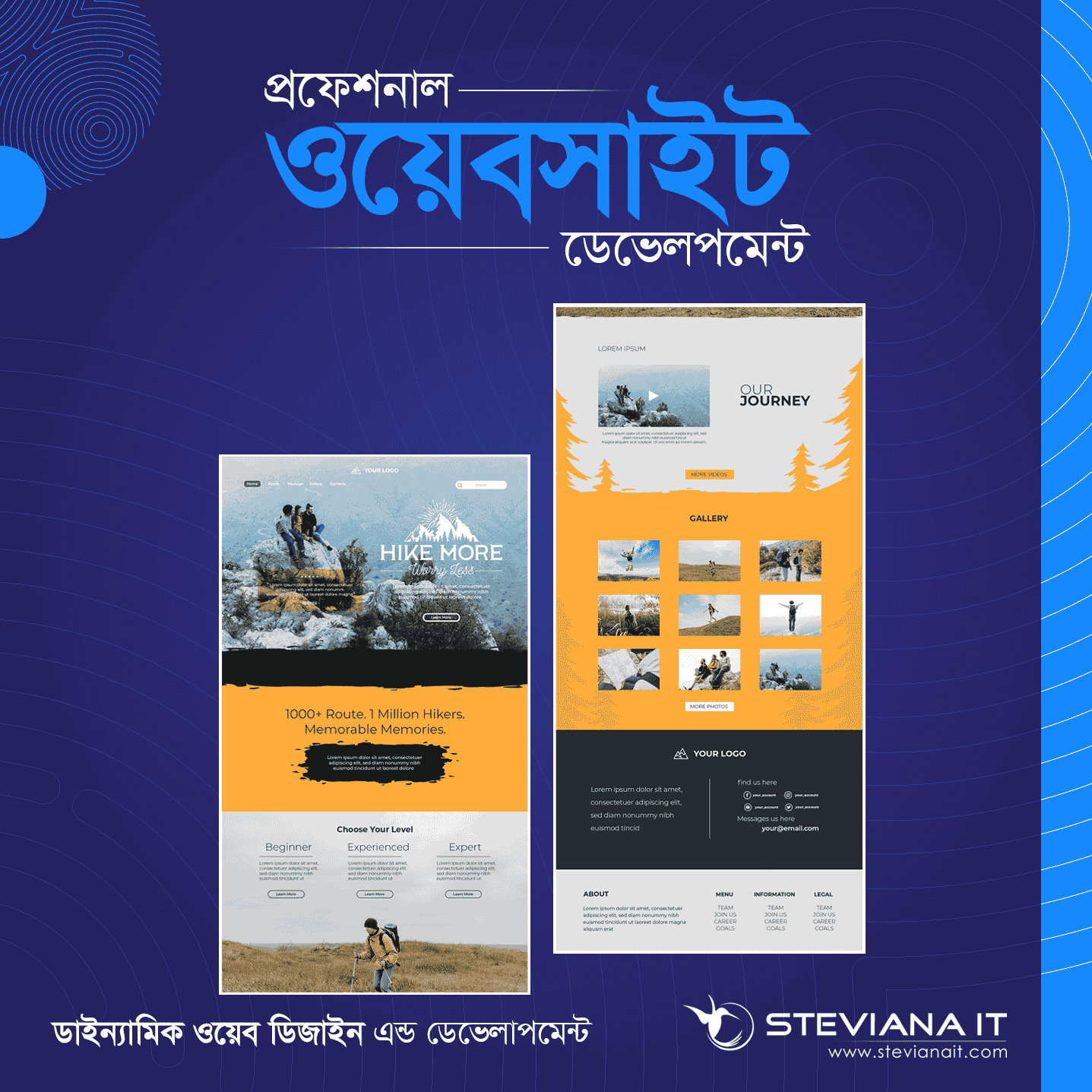Advanced Dynamic Website Design Package in Bangladesh for Enterprises – ৳65000