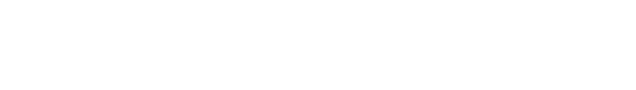STEVIANA IT